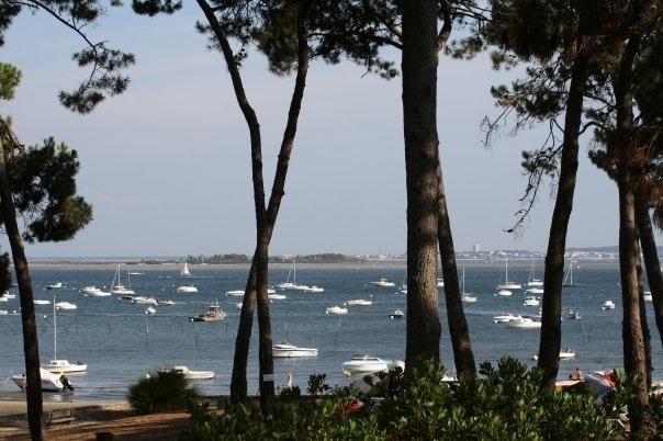 Le Sommet Des Dunes Hotel Lege-Cap-Ferret Bilik gambar