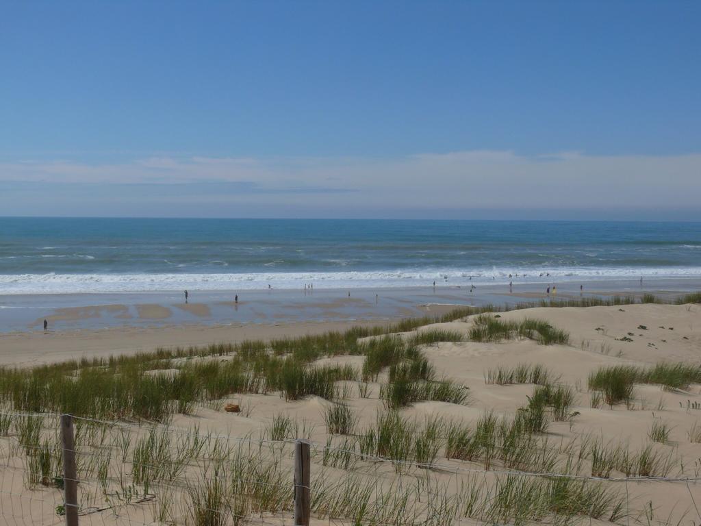 Le Sommet Des Dunes Hotel Lege-Cap-Ferret Bilik gambar